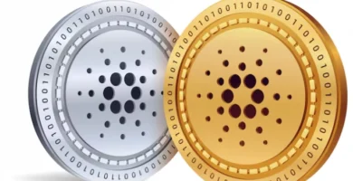 Cardano México
