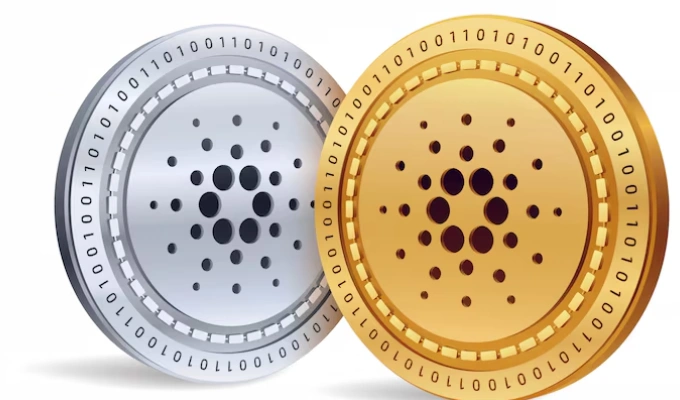 Cardano México