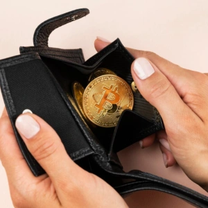 Criptomonedas para resguardar