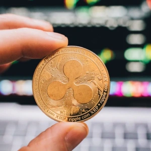 Tecnología en Ripple