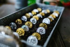 Fotografía representativa de unos tokens sembrados en un farm yield