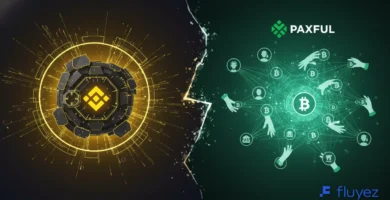 Representación conceptual de Binance como exchange centralizado y Paxful como plataforma P2P, destacando sus modelos de operación.