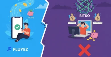 Fluyez vs Bitso