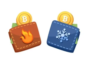 Tipos de wallets