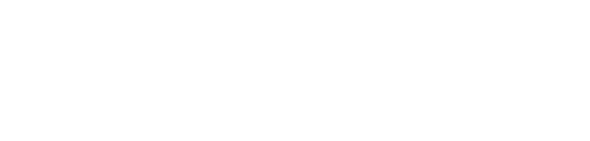 Fluyez